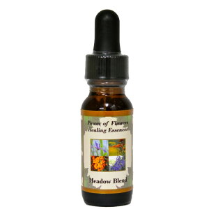 hEuhsp[Iut[q[OGbZXt15mly[֑Ώہz[AhoXVO/t[GbZX/KAi/AJ]