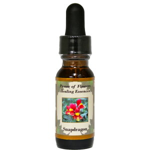 XibvhSsp[Iut[q[OGbZXt15mly[֑Ώہz[AhoXVO/t[GbZX/KAi/AJ]