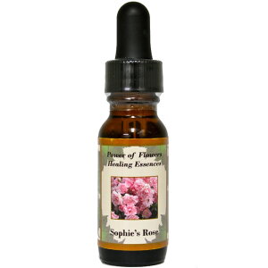 \tB[[Ysp[Iut[q[OGbZXt15mly[֑Ώہz[AhoXVO/t[GbZX/KAi/AJ]