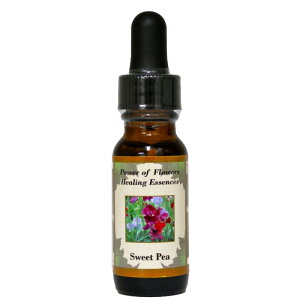 XC[gs[sp[Iut[q[OGbZXt15mly[֑Ώہz[AhoXVO/t[GbZX/KAi/AJ]