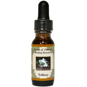 gEsp[Iut[q[OGbZXt15mly[֑Ώہz[AhoXVO/t[GbZX/KAi/AJ]