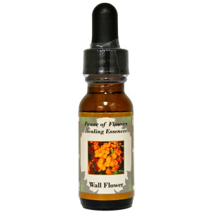 EH[t[sp[Itu[q[OGbZXt15mly[֑Ώہz[AhoXVO/t[GbZX/KAi/AJ]