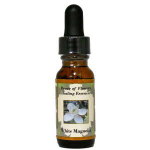 zCg}OmAsp[Iut[q[OGbZXt15mly[֑Ώہz[AhoXVO/t[GbZX/KAi/AJ]