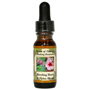 u[fBOn[gtbNXsp[Iut[q[OGbZXt15mly[֑Ώہz[AhoXVO/t[GbZX/KAi/AJ]