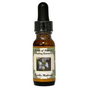 pVtBbN}hsp[Iut[q[OGbZXt15mly[֑Ώہz[AhoXVO/t[GbZX/KAi/AJ]