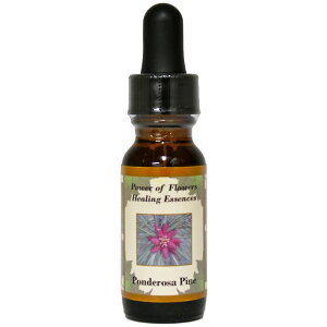 |f[TpCsp[Iut[q[OGbZXt15mly[֑Ώہz[AhoXVO/t[GbZX/KAi/AJ]