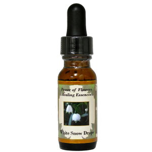 zCgXm[hbvsp[Iut[q[OGbZXt15mly[֑Ώہz[AhoXVO/t[GbZX/KAi/AJ]