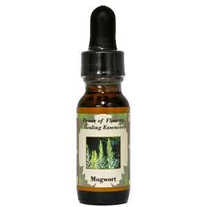 }O[gsp[Iut[q[OGbZXt15mly[֑Ώہz[AhoXVO/t[GbZX/KAi/AJ]