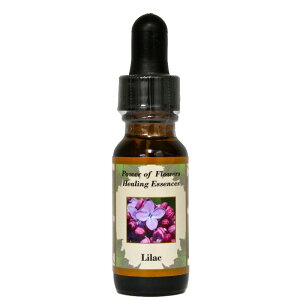 CbNsp[Iut[q[OGbZXt15mly[֑Ώہz[AhoXVO/t[GbZX/KAi/AJ]