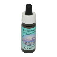 アラスカンエッセンス ブラダーワート 7.5ml 【メール便対象】[アラスカンエッセンス/フラワーエッセンス…