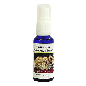 fBAgCgXv[sq}Et[GnT[Yt30ml[^X}jAEB_lXbGbZVICbA}Xv[b̂bt[GbZX]