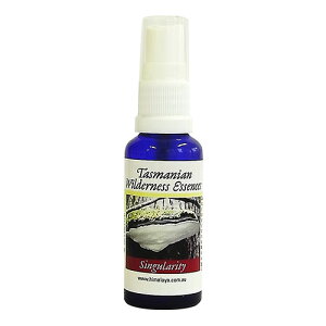 VMeBXv[sq}Et[GnT[Yt30ml[^X}jAEB_lXbGbZVICbA}Xv[b̂bt[GbZXbq}t