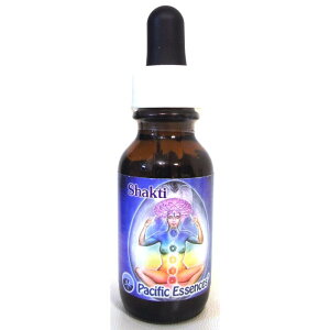 y}\ő2222~N[|zzz_̃GbZX VNeB(Shakti)spVtBbNGbZXt25mly30mlɗeʕύXƂȂ܂z[t[GbZXbGlM[b`