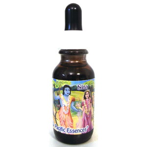 yubNtCf[Iő2222~N[|zzz_̃GbZX V[^(Sita)spVtBbNGbZXt25mly30mlɗeʕύXƂȂ܂z[t[GbZXbGlM[