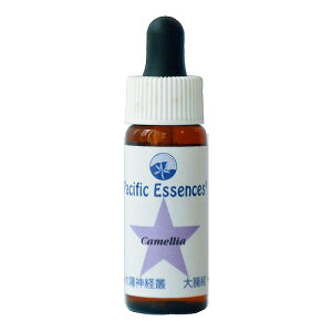 yubNtCf[Iő2222~N[|zzzJAspVtBbNGbZXt7.5ml[t[GbZXb`wbJi_bpVtBbNGbZX]