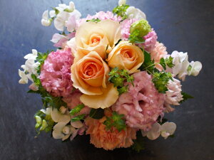 pXeJ[L[gAW y t[AWg ĉ oXPbgzypXeJ[ WF 炵Fzya LO ʉ \zŷ܂܏ 