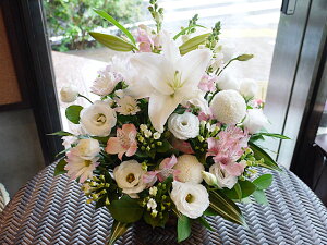 S̃zCgsNAWgy sN  t[AWg 䋟 ݁zy@v  Â ̐l ~zyS gRMLE Xv[} AXgA s