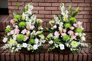 SƋeƃXgbŇ䋟AWg()y AWgzyՒd d zy䋟  ʎ ʖzy@v  Â ̐l ~zy}  XgbN@f