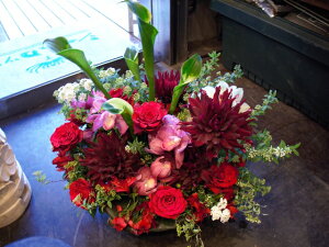 _Aƃo̐^ԂȃAWgyKN o _Azy lۂzy AWgzyv[g Mtg 蕨zyVhlJ ԉVbN yVsz