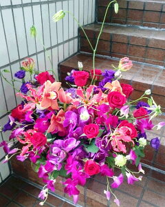 mKNƖS̃AWgy AWgzym VrWE A_ ft@ o OIT gRMLEzysN p[v zyj JXj y 