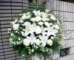 pX^hԁwmԁxX^hԃ^CvEԍނ͂܂B15,000~yy15tzy m X^h zy䋟  @v  Â ̐l 