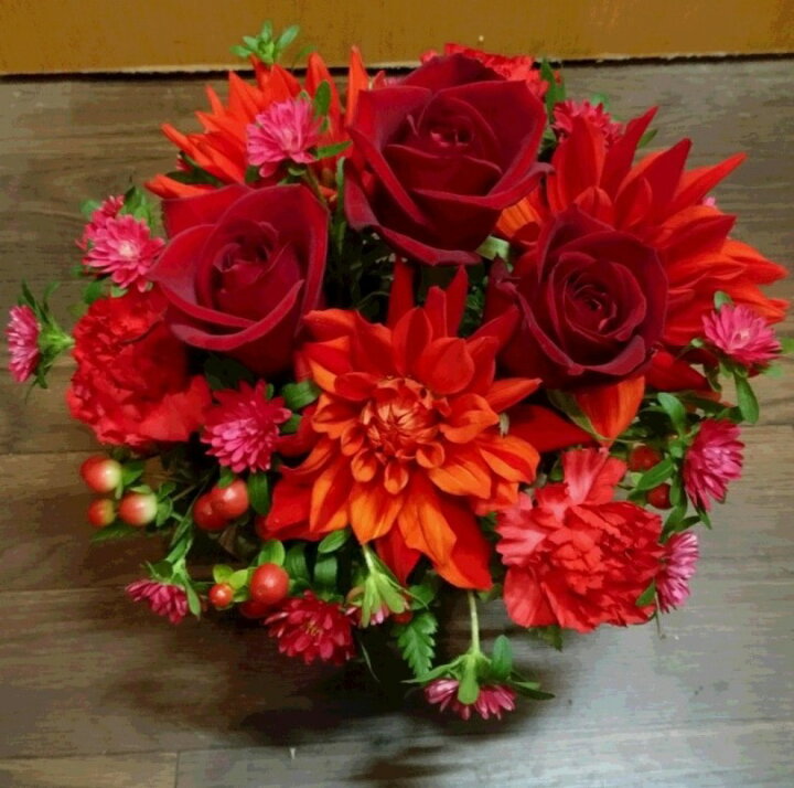 楽天市場 レッド レッド赤バラと赤ダリアの大人アレンジ 赤バラ 赤薔薇 ダリア 生花 大人可愛い 大人っぽい お花代 プレゼント ギフト お誕生日 御祝 お祝い 退職 送別 結婚 歓迎会 記念日 テーブル花 テーブル花 男性 女性 新宿四谷 花屋シャムロック 楽天市場 楽天市場 レッド レッド赤バラと赤ダリアの大人アレンジ 赤バラ 赤薔薇 ダリア 生花 大人可愛い 大人っぽい お花代 プレゼント ギフト お誕生日 御祝 お祝い 退職 送別 結婚 歓迎会 記念日 テーブル花 テーブル花 男性 女性 新宿四谷 花屋シャムロック 楽天市場
