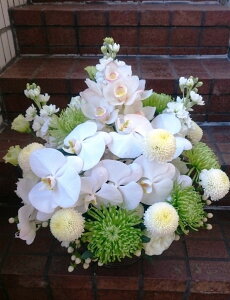 AWg13,000~RpNgyy15tzy zyAWg  zy e zy䋟  @v  Â ̐l ~zyVhlJ ԉV