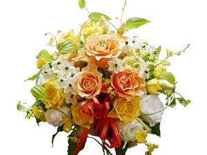 ܂t[AWg4000~ wjELOpxyy15tzy ܂ t[AWg 4000~zya LO j Mtg v[gzyVhlJ 