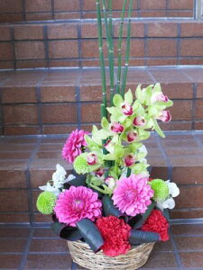 ܂AWga_y,AWg,6000~zya,_,a_,{,mԁzyj,j,W,\,t,y,Mtg,v[g,Vz,]zyyVs,ԉ,