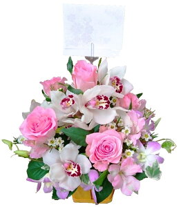 ܂t[AWg5500~ wjELOpxyy15tzy ܂ t[AWg 5000~zya LO j Mtg v[gzyVhlJ 