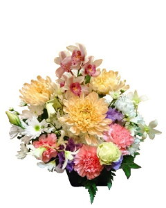 AWgF(ԍނ͂܂)6,000~yy15tzy AWg t[AWgzy䋟  @v  Â ̐l ~ ؂