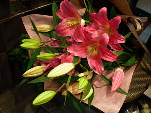 IG^sNu[PyS@sN IG^zy ԑzyj  \ Cxg v|[Y a }zyl łzyVh lJ yVV