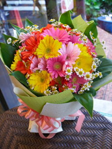 yAM10F00ցz܂ԑ7700~wjELOpxyy15tzy ܂ ԑ 5000~`zya LO j Mtg v[gzy} ʉ  zyV