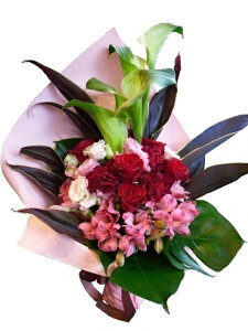 oƃJ[̃u[PlۂfUCu[PyKN J[ gRMLE AXgAzyp v[g Mtg  } a LOzylۂ l 