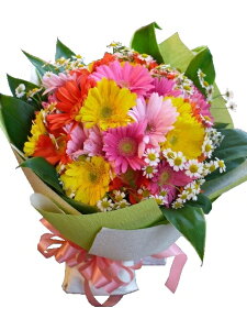 ܂ԑ6000~wjELOpxyy15tzy ܂ ԑ 6000~zya LO j Mtg v[gzy} ʉ   ސE ގ ƁzyV