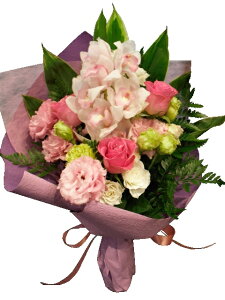 VrWEƃôӂsNu[Py ԑzyVrWE m KN o gRMLEzysN DF 炩 ӂzyj oYj a