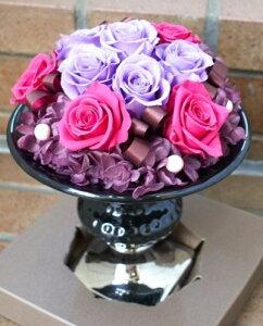 vU[uht[wAWXgxyvU[uht[ ͂Ȃԁzyl lzyv|[Y  LOzyo AWTCzyVh lJ yVVbNz