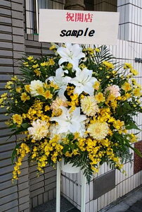 X^h ܂X^h15,000~wjELOpx1i yy15tzy ܂ X^h 15,000~zyap[eB Mtg v[gzy Cu R