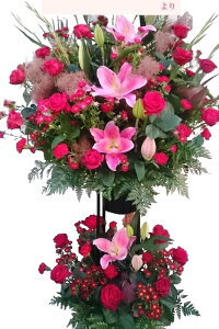 X^hԁ@܂X^h20,000~wjELOpx2i yy15tzy ܂ X^h 20,000~zyap[eB Mtg v[gzy Cu 