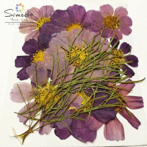 yAiEAEgbgzF|51@ԁ@RXX@sN@8ԍ ԑf ԉ Ԋz ԍޗ nhCh n[oE W EFJ{[h@EFfB