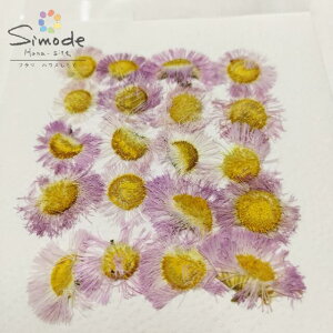 yAiEAEgbgzF|49@ԁ@nWIinVIj@20ԍ ԑf ԉ Ԋz ԍޗ nhCh n[oE W EFJ{[h@E