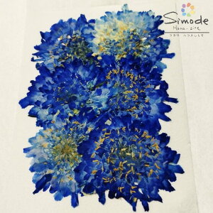 yS-1152z fޒFXJrIT@@ 6ԍ ԑf Ԋz  EFJ{[h lC sAX nhCh n[oE W t[ Lh A} bNX 