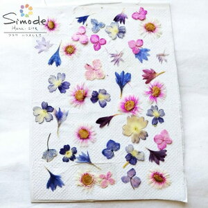 yS-1169z ԃ~bNX@nWIAo[xiAԑ@~bNX30@ԍ Ԋz ~bNX W t[ Lh A} bNX TVF ޗ EFJ{[h uC