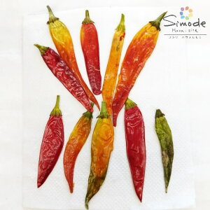 【S-1174】トウガラシ 10本【とうがらし・唐辛子】【飛騨】【山野草】【押し花パック】【押し花素材】【手作り】【キット】