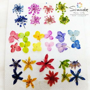 yS-1179zԁ@Fԃ~bNX[Xt[AAWTCAAP{m\E@v30Ԋz⃌WANZT[ȂǃnhChfނƂĐlCłԑfށEԃpbN