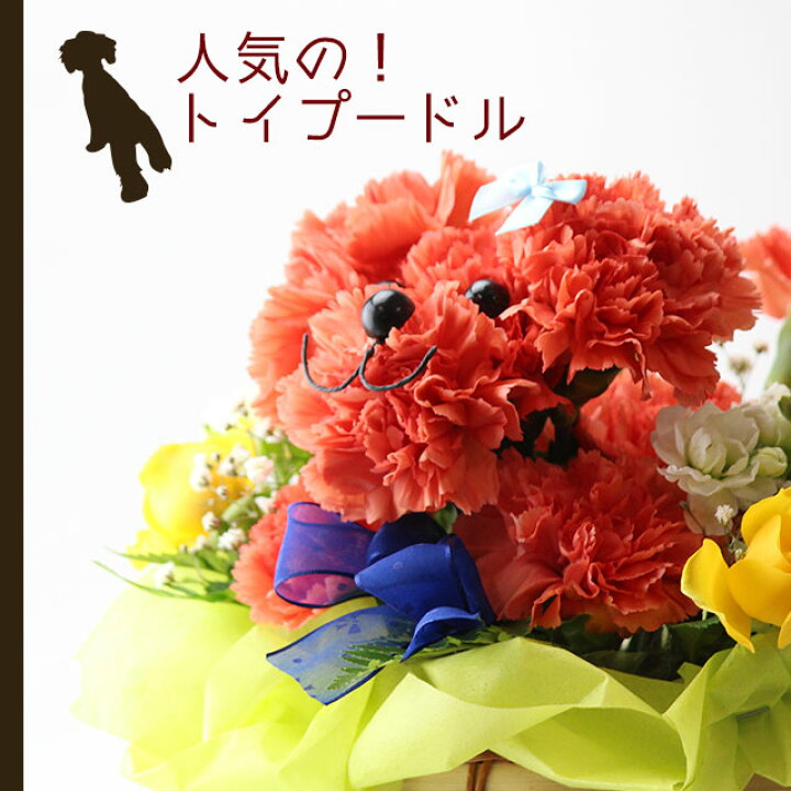 楽天市場 トイプードル オレンジ アニマルフラワー アレンジメント生花 癒し 誕生日 記念日 お祝 プレゼント 結婚祝い 出産祝い 結婚記念日 退職 ギフト カーネーション お供え お盆 仏花 お悔み 供花 命日 犬 イヌ フラワーハウスしもで