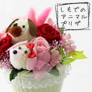 񂿂(2C)̃vU[uht[AWg̓ ybg ~ ~  ފ    Mtg a LO j j oYj LO ސE  w \