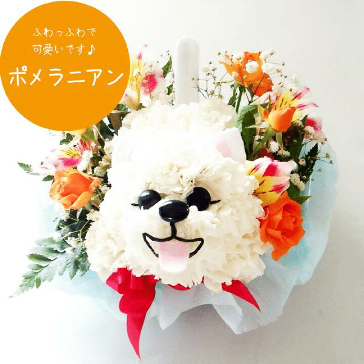 楽天市場 ポメラニアンのアニマルフラワー アレンジメント母の日 生花 癒し 誕生日 記念日 お祝 プレゼント 結婚祝い 出産祝い 結婚記念日 退職 ギフト カーネーション お供え お盆 仏花 お悔み 供花 命日 犬 イヌ フラワーハウスしもで