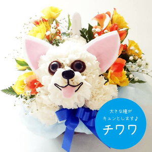 `̃Aj}t[ AWg̓ ybg ~ ~  ފ     Mtg a LO j j oYj LO ސE  w \ ybg