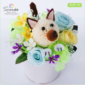 Či΂ʁj̃vU[uht[AWg ̓ ybg ~ ~  ފ    Mtg a LO j j oYj LO ސE  w 